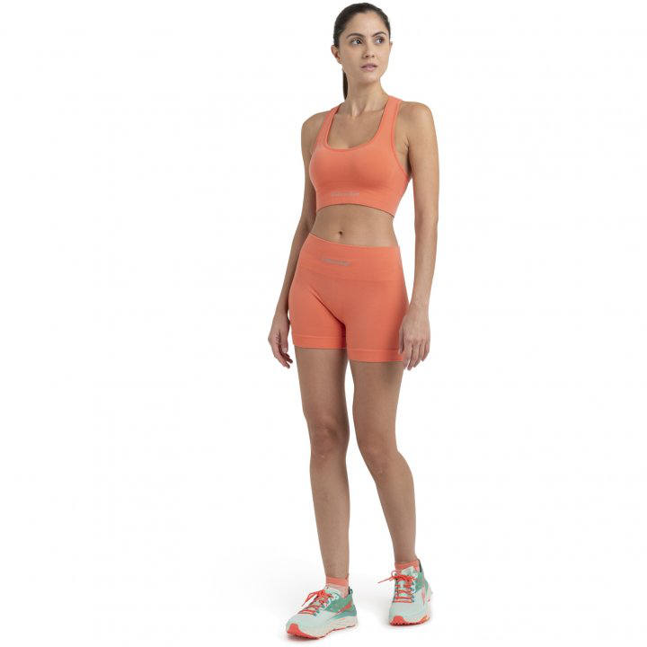 Icebreaker 260 ZoneKnit Seamless Bra W's