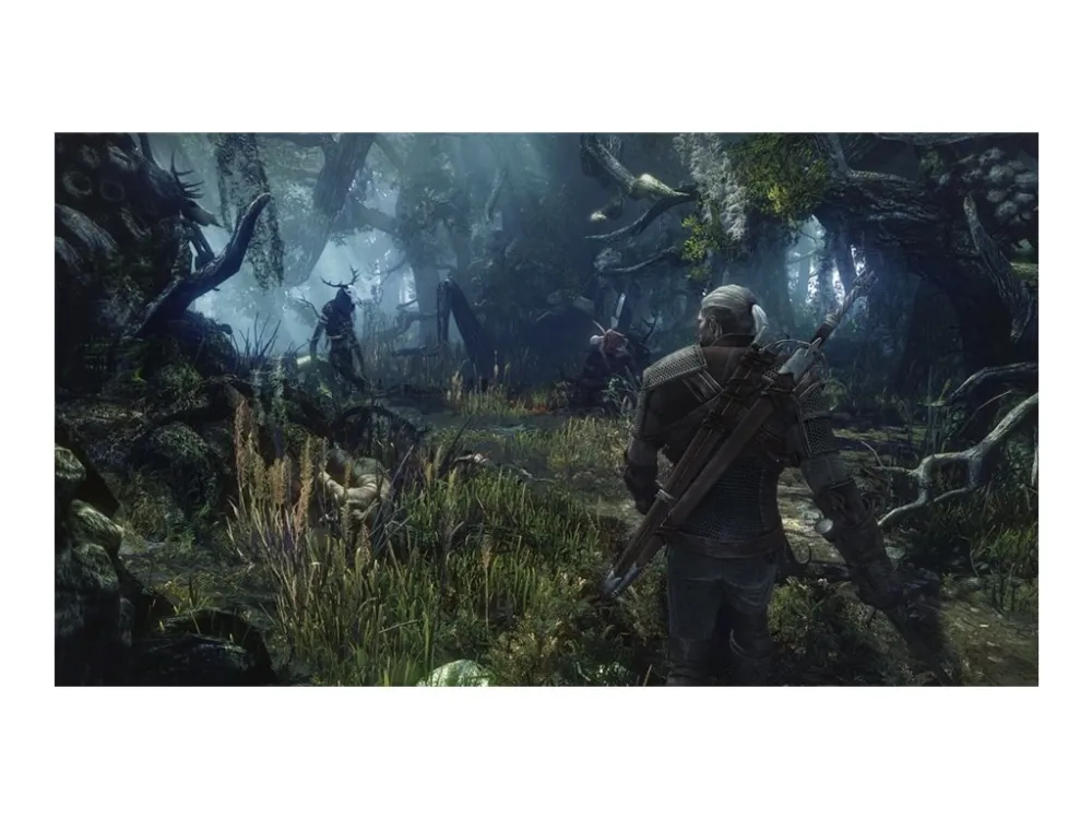 The Witcher 3 Wild Hunt - Game Of The Year Edition - PlayStation 4