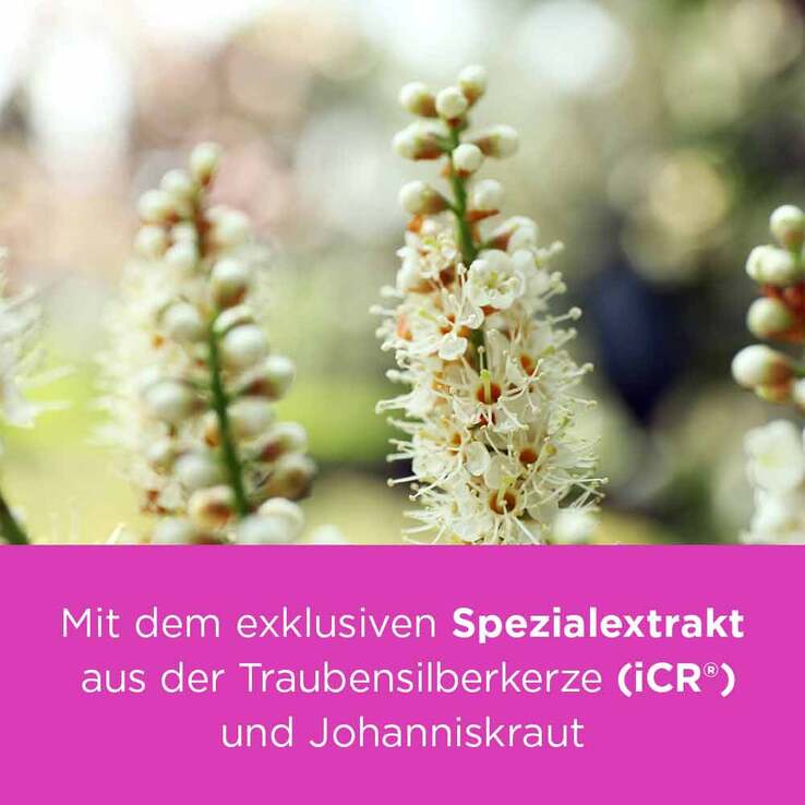 remifemin® PLUS Johanniskraut , 100 St