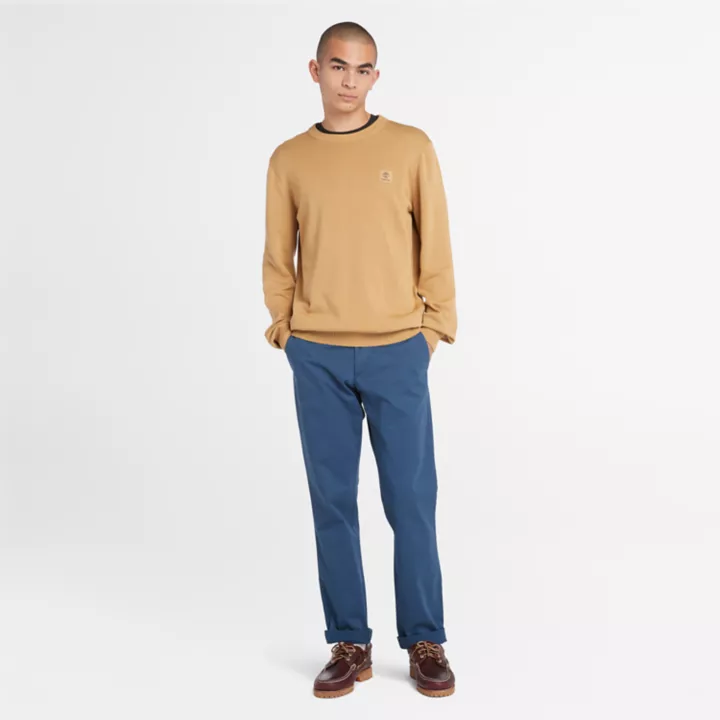 Pantalon chino extensible Sargent Lake pour homme en bleu