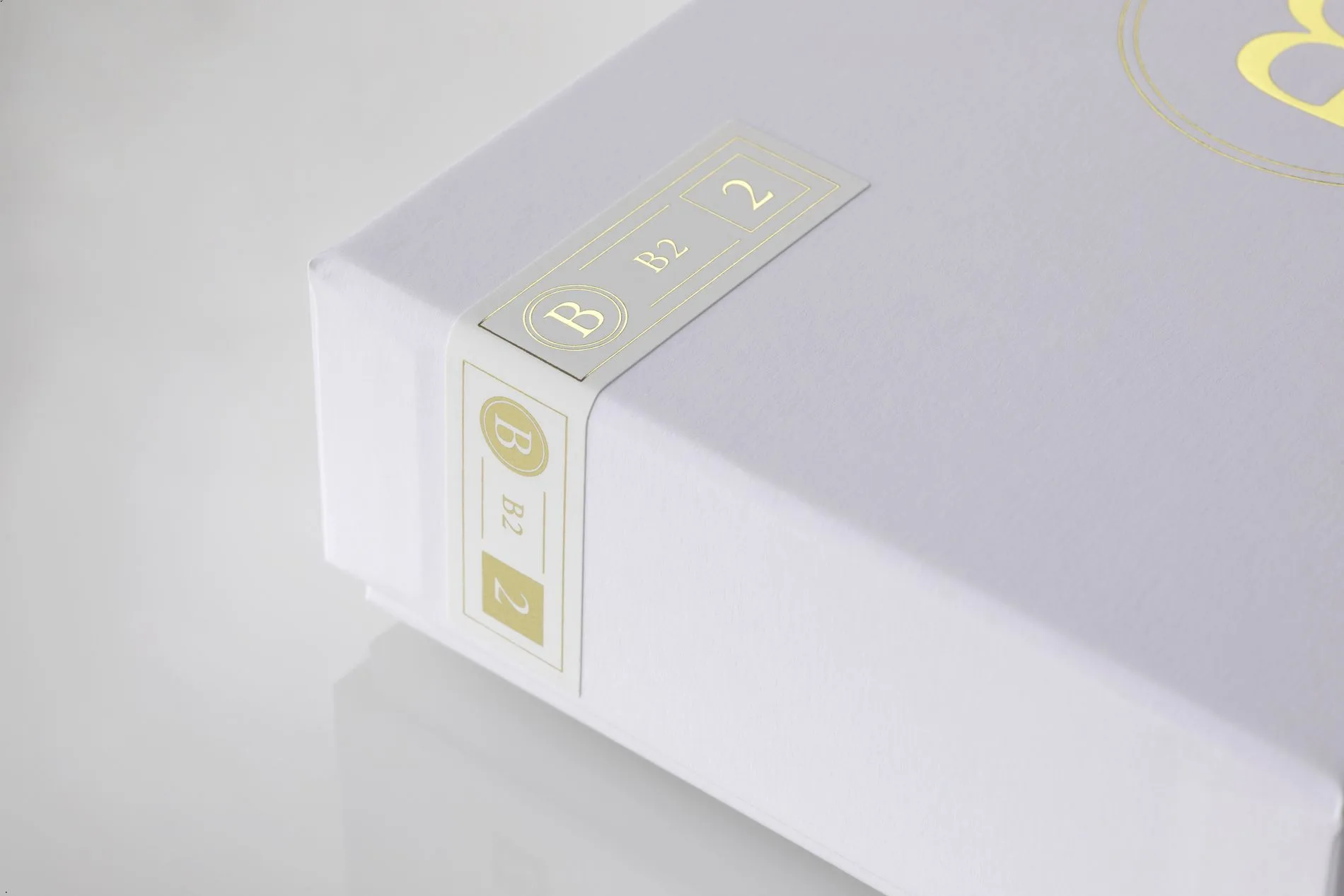 Final Audio B2 Écouteurs intra-auriculaires