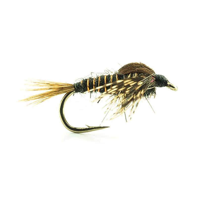 Mouche Devaux Nymphe Hpp 06