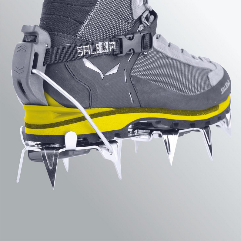 Salewa Damen Crow GTX Schuhe