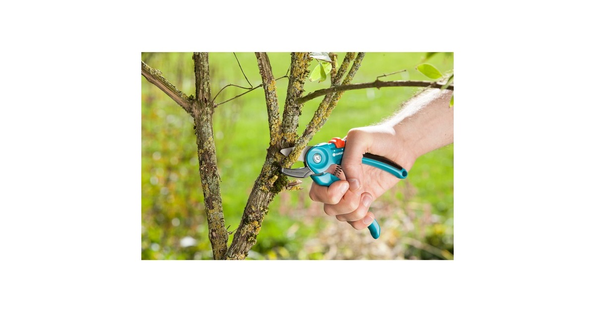 GARDENAClassic Snoeischaar A/S  (Turquoise, 8855-20)