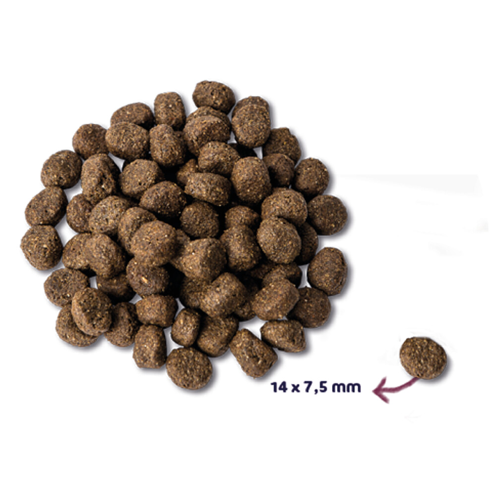 Renske Super Premium Senior Kalkoen Graanvrij2 kg