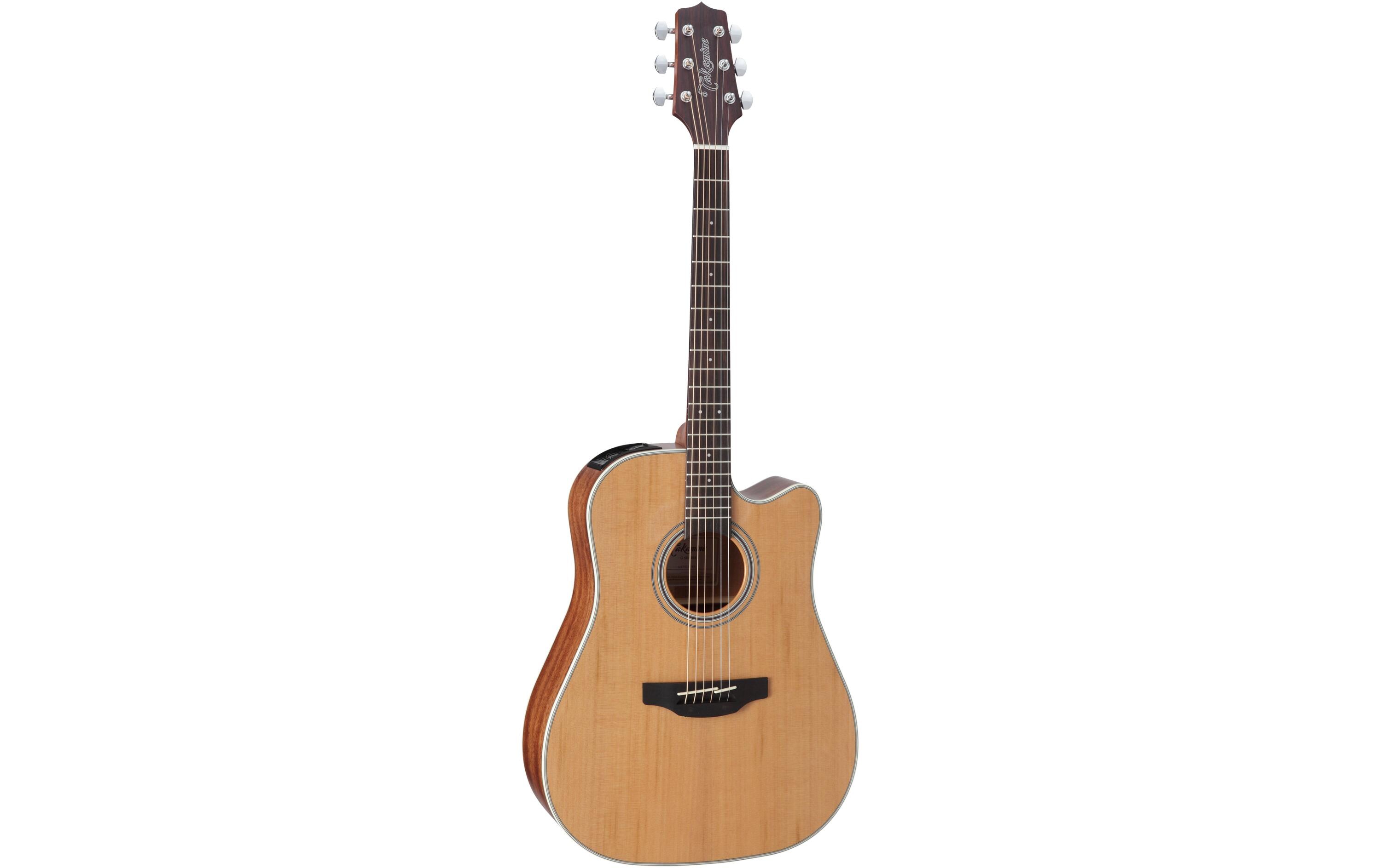 Westerngitarre GD20CE-NS<br>Akustikgitarre der G20-Serie