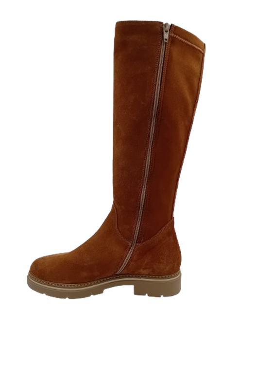 DL Sport 6379 Camel (vers 02)
