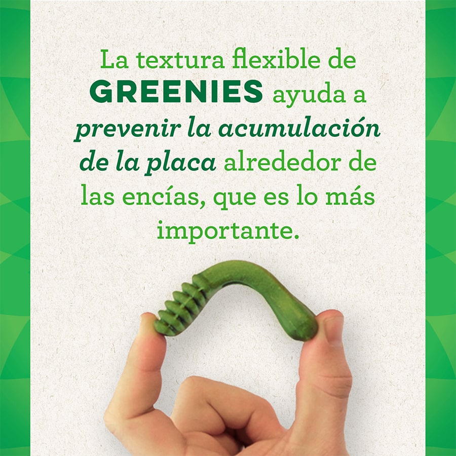 Greenies Petiscos Dentais 100% Naturais para Cães de Pequeno Porte