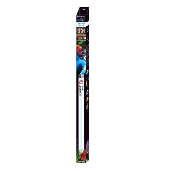 Tube lumivie blanc 60 cm