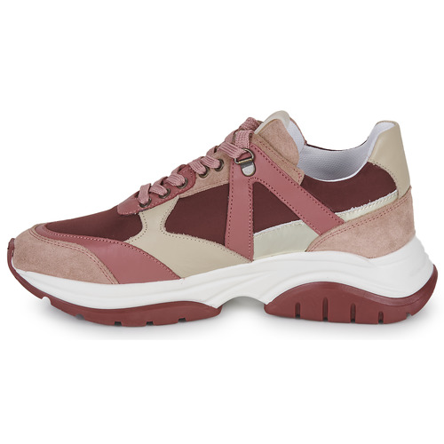 Bullboxer -  - Rose / Bordeaux