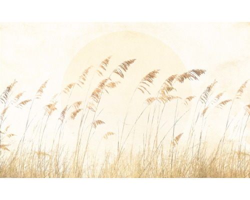 Fotobehang vliesbehang LJX8-063 Le Jardin Dune Grass 8 stuks. 400x250cm