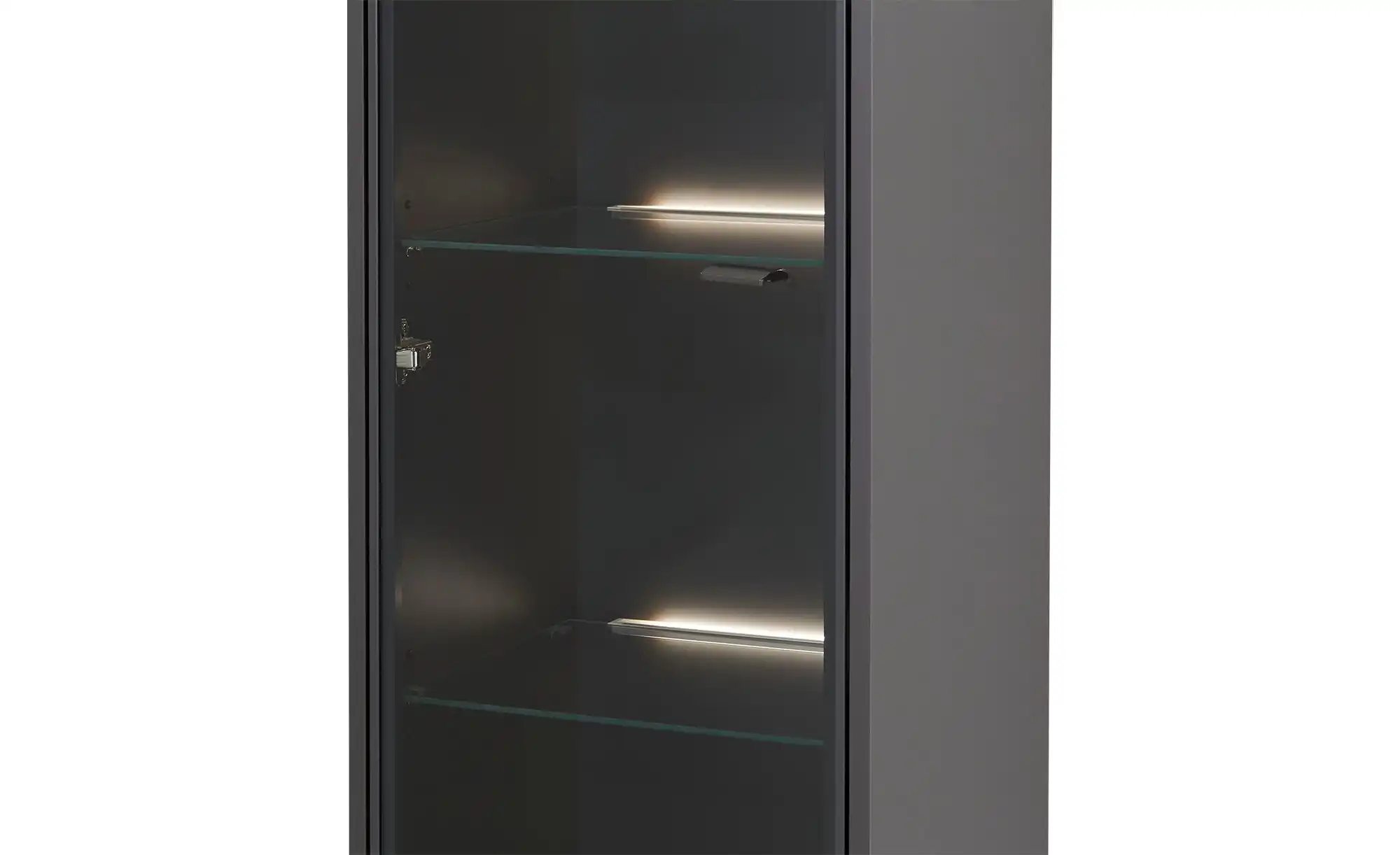 Hängevitrine Light Line 10
