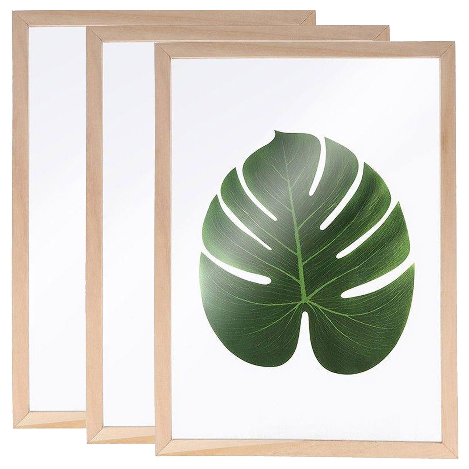 3 cadres en bois pour herbier a4