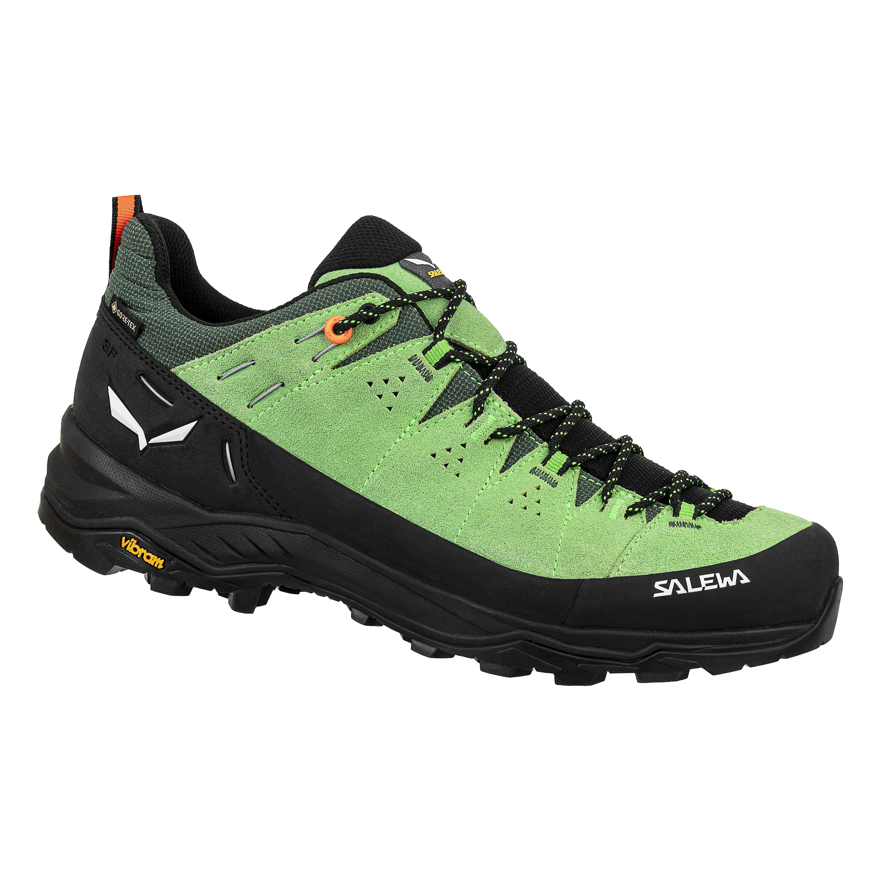 Alp Trainer 2 Gore-Tex® Schuh Herren