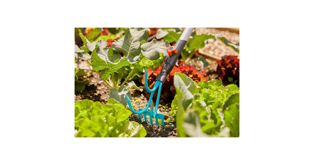 GARDENACombisystem 2-in-1 krabber/hark handkrabber  (Turquoise, 3165-20)