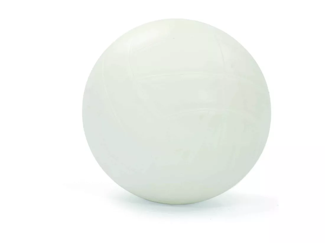 But Gonflable Bestway Water Polo 66x137 cm