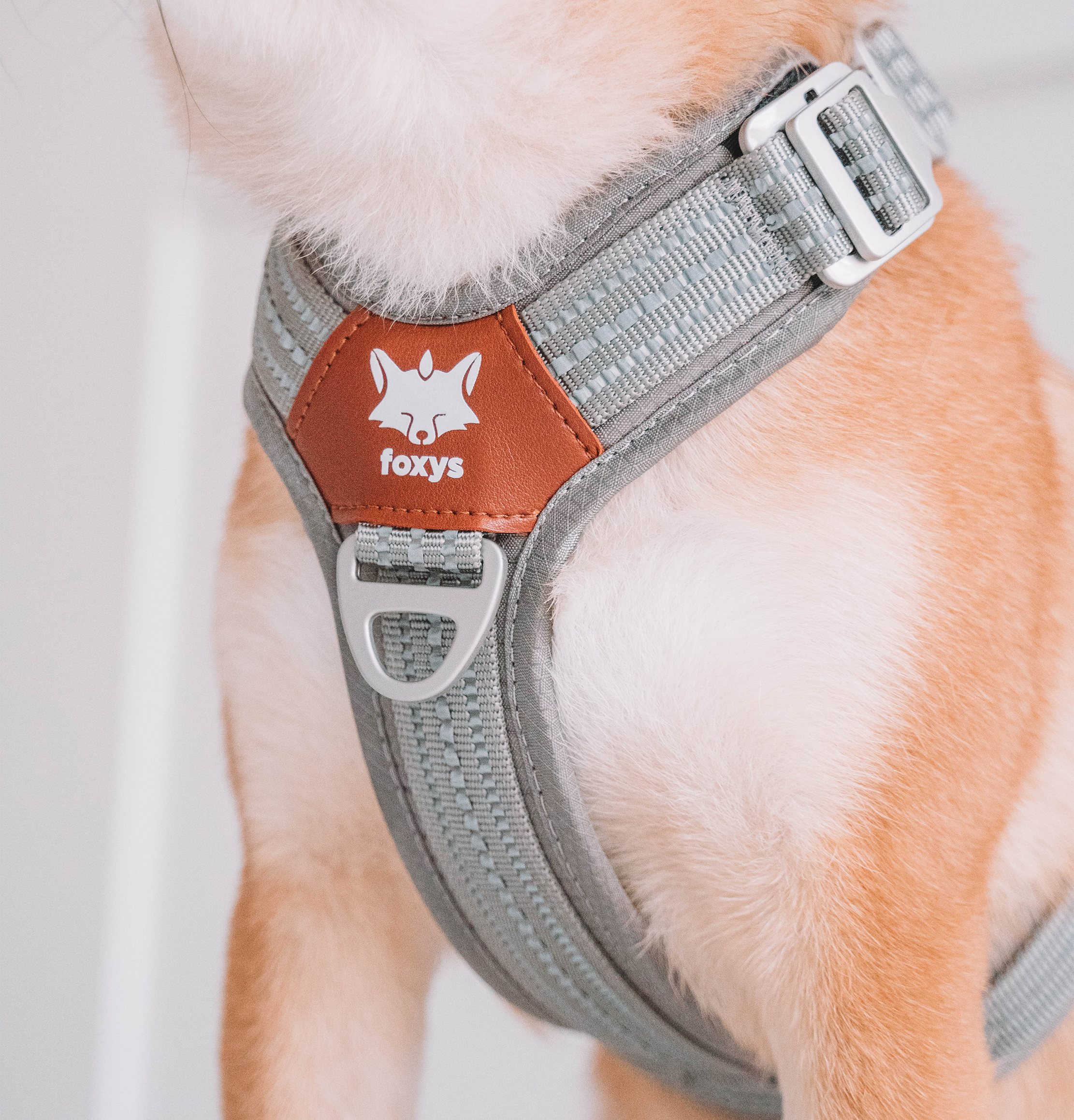 Colete para cães, modelo anti-puxão, com argolas em D frontais e traseiras, leve, ajustável e com fecho de segurança refletivo 3M para animais de estimação, fivela de alumínio reforçada no pescoço e resistente à água.