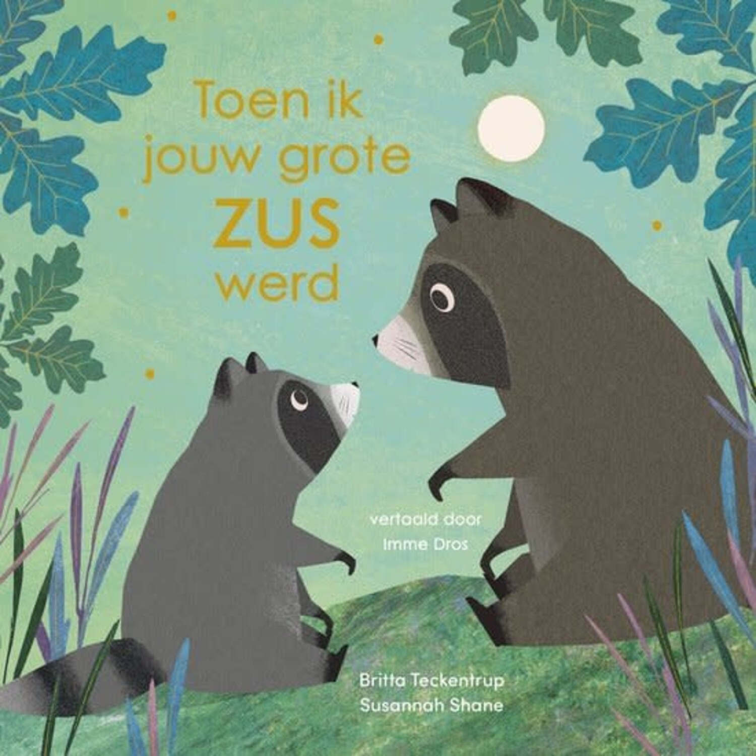 Boek | Toen ik jouw grote zus werd