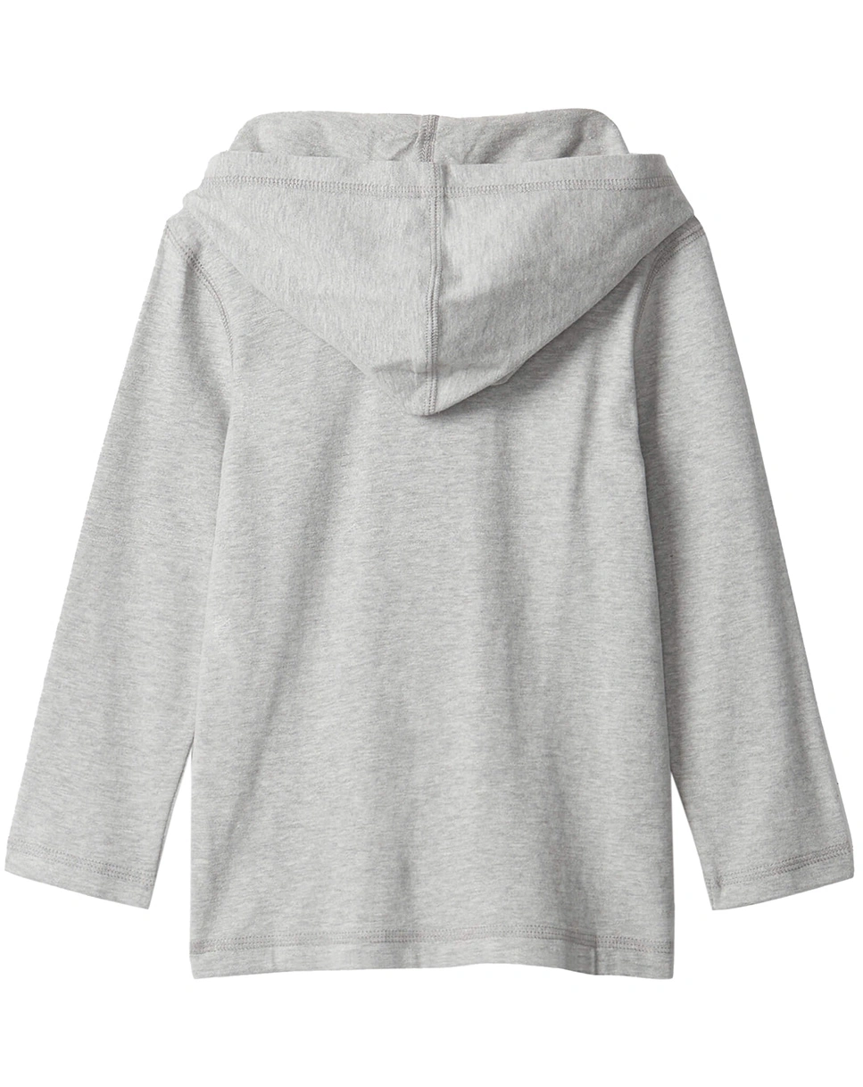 Kapuzen-Sweatshirt DINO in grau