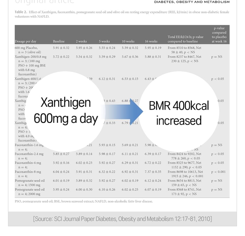 GREEN MONSTER - Lichaamsvetdieet Kaloout Xanthigen+