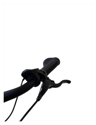 Produit reconditionné . Diamant Mandara Deluxe   SHIMANO 2022 . Vélo électrique . Diamant . très bon état