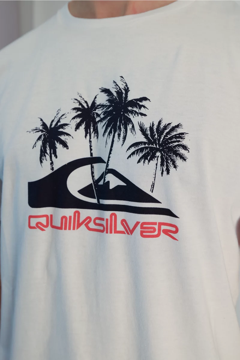 Quiksilver Baikadam Herren T-Shirt