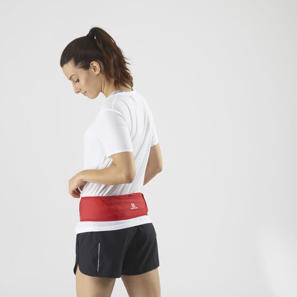 Ceinture porte gourde SALOMON PULSE BELT GOJI BERRY