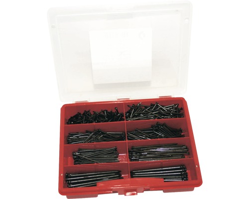 Assortiment stalen spijkers, 6-delig, geblauwd, in kunststof displaykoffer, 850 stuks