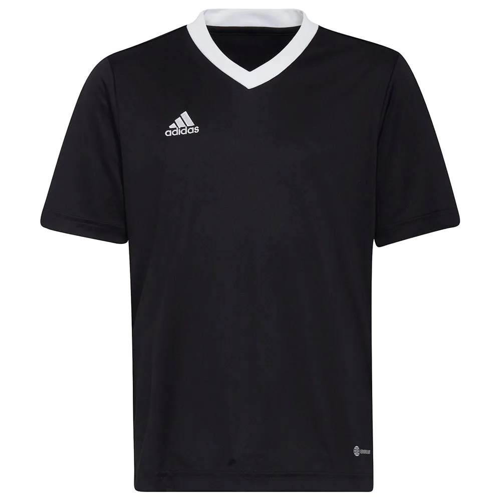 Camiseta de manga curta adidas Entrada 22