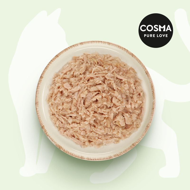 Lot Cosma Asia en gelée 12 x 85 g