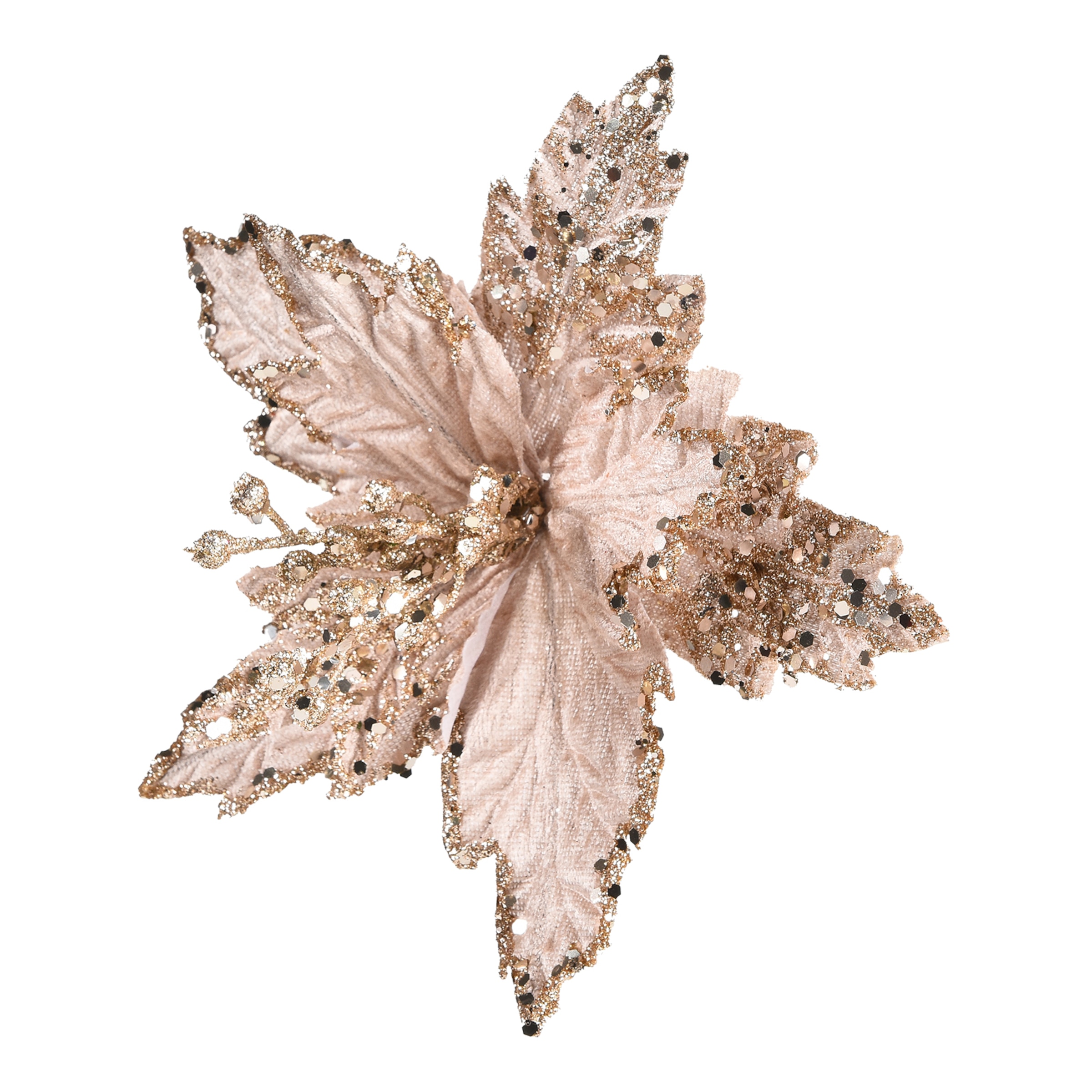 champagne, ⌀ 20 cm