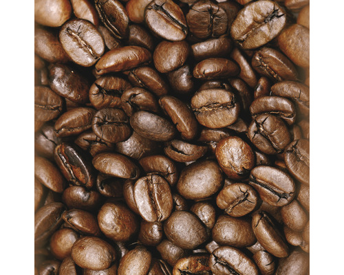 Pop-up paneel zelfklevend 3007 3-1 Koffiebonen bruin