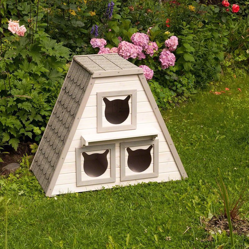 Maisonnette Madeira à prix discount sur bitiba.fr