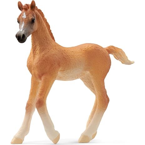 Schleich araberføl 13984