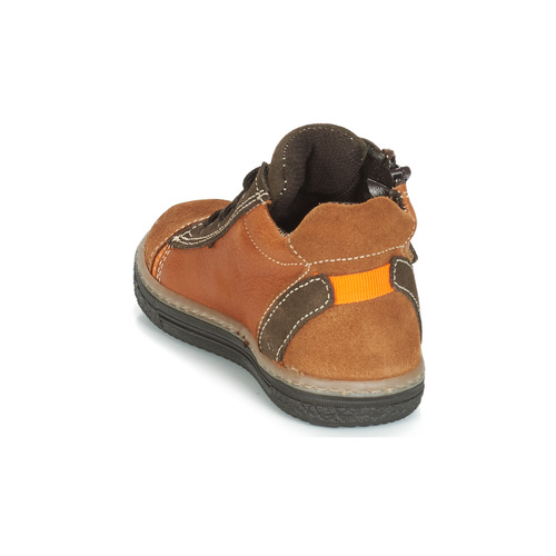 Citrouille et Compagnie - HARCO - Camel