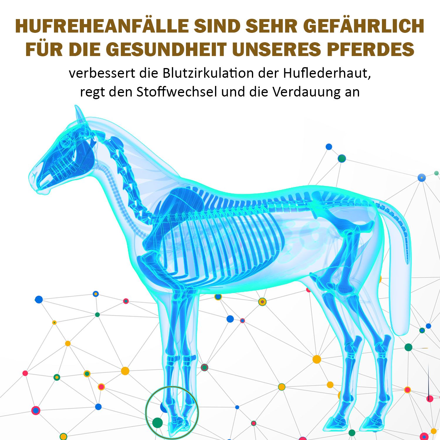 V-POINT® REHE Plus – Unterstützung bei Hufrehe - 100% pflanzlich