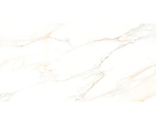 Cava lusso wand- en vloertegel 60x120 cm