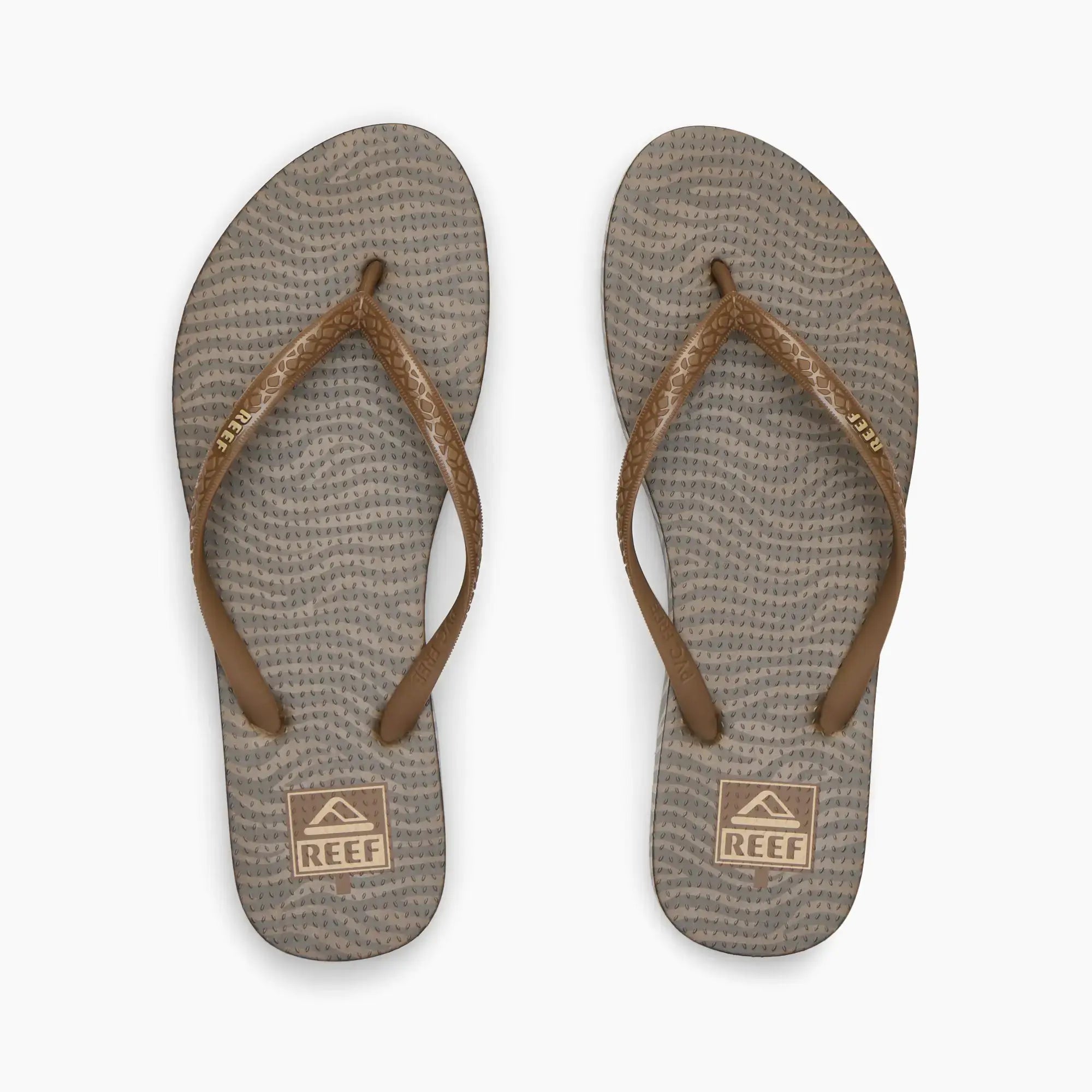 Seaside Prints Choco Zebra