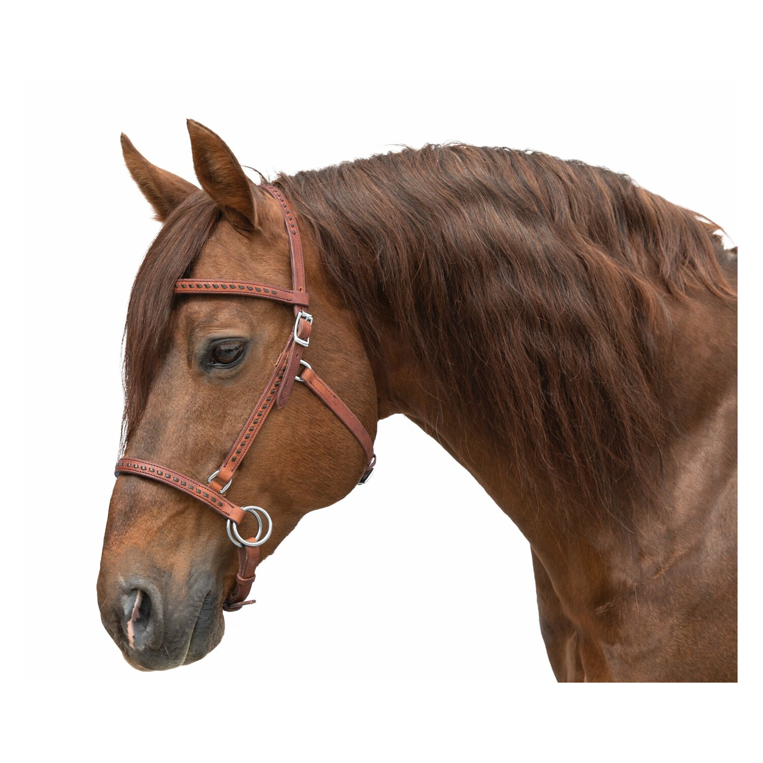 Passion 4Q Sidepull  - brown