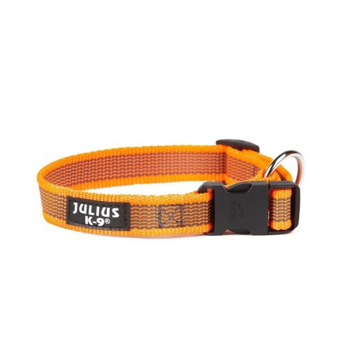 Coleira para cães Julius K9, laranja