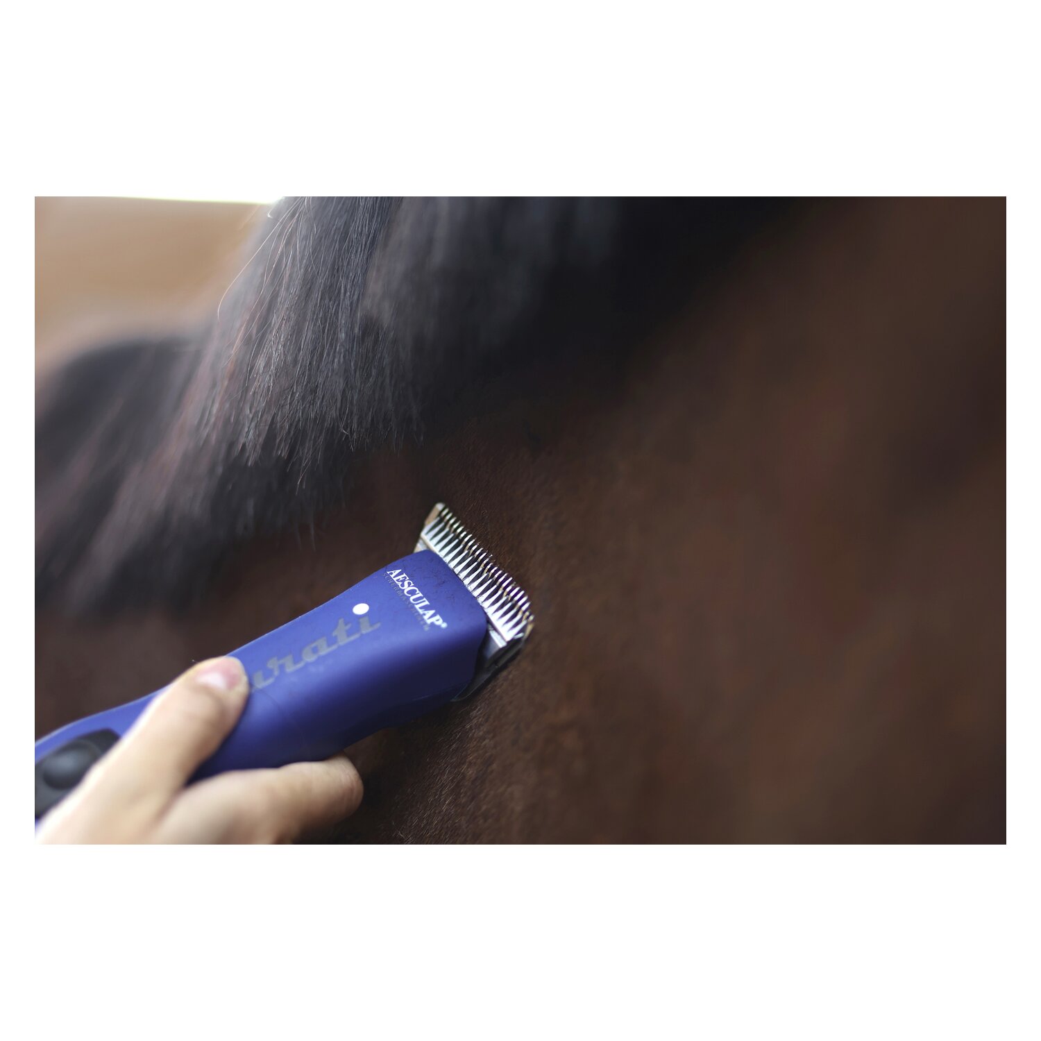 AESCULAP Akku-Schermaschine Durati Horse  - blau