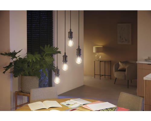 Philips Hue White Ambiance Dimbare Gouden Filamentlamp A60 E27/7W (40W) 550 lm 2200K-6500K - Compatibel met SMART HOME van Hornbach