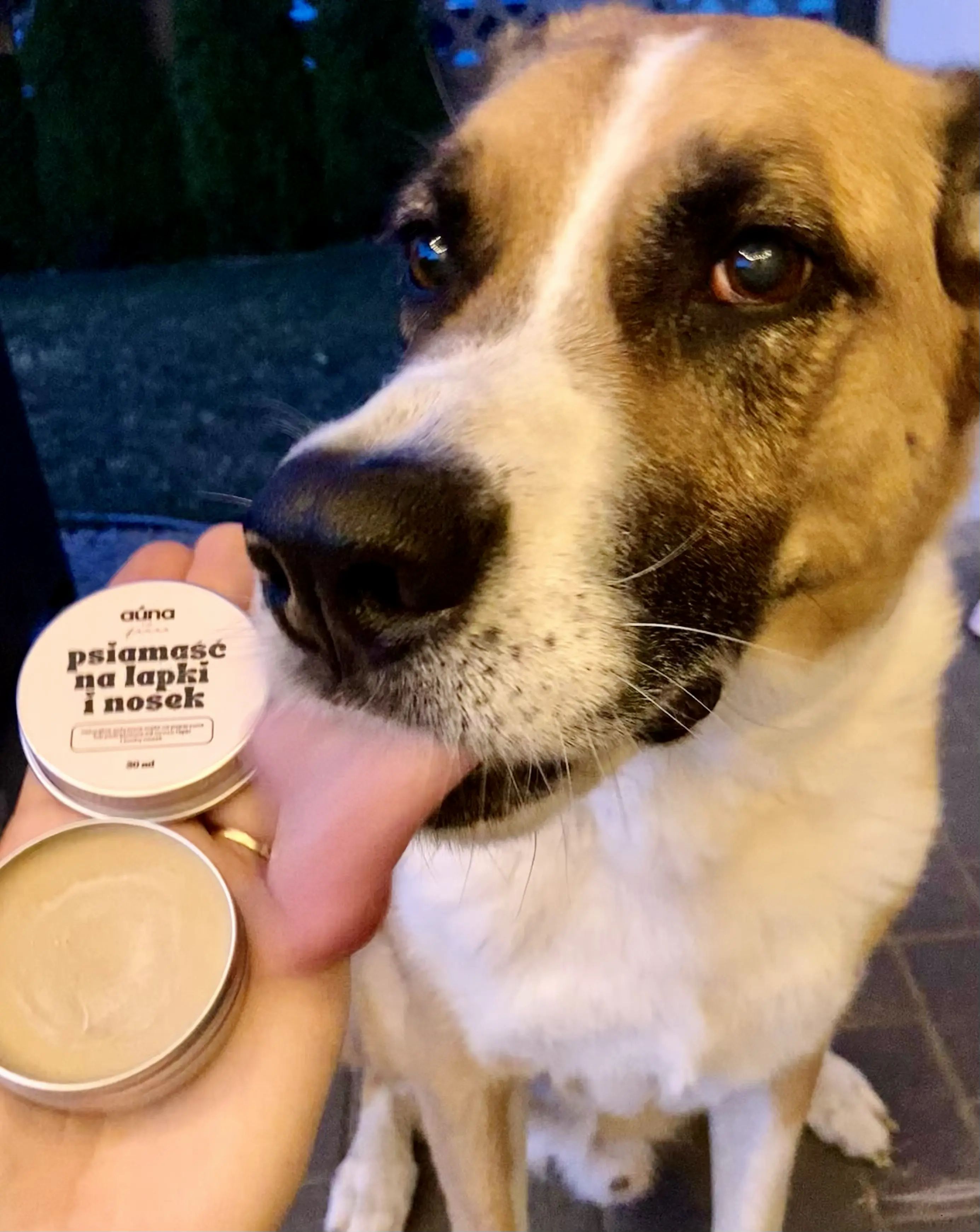 Auna Vegan Natürliche Schutzsalbe für Hunde