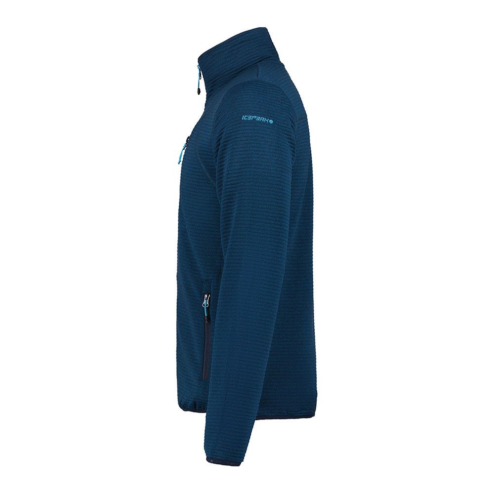 Icepeak BERTHOLD - Polaire Homme dark blue