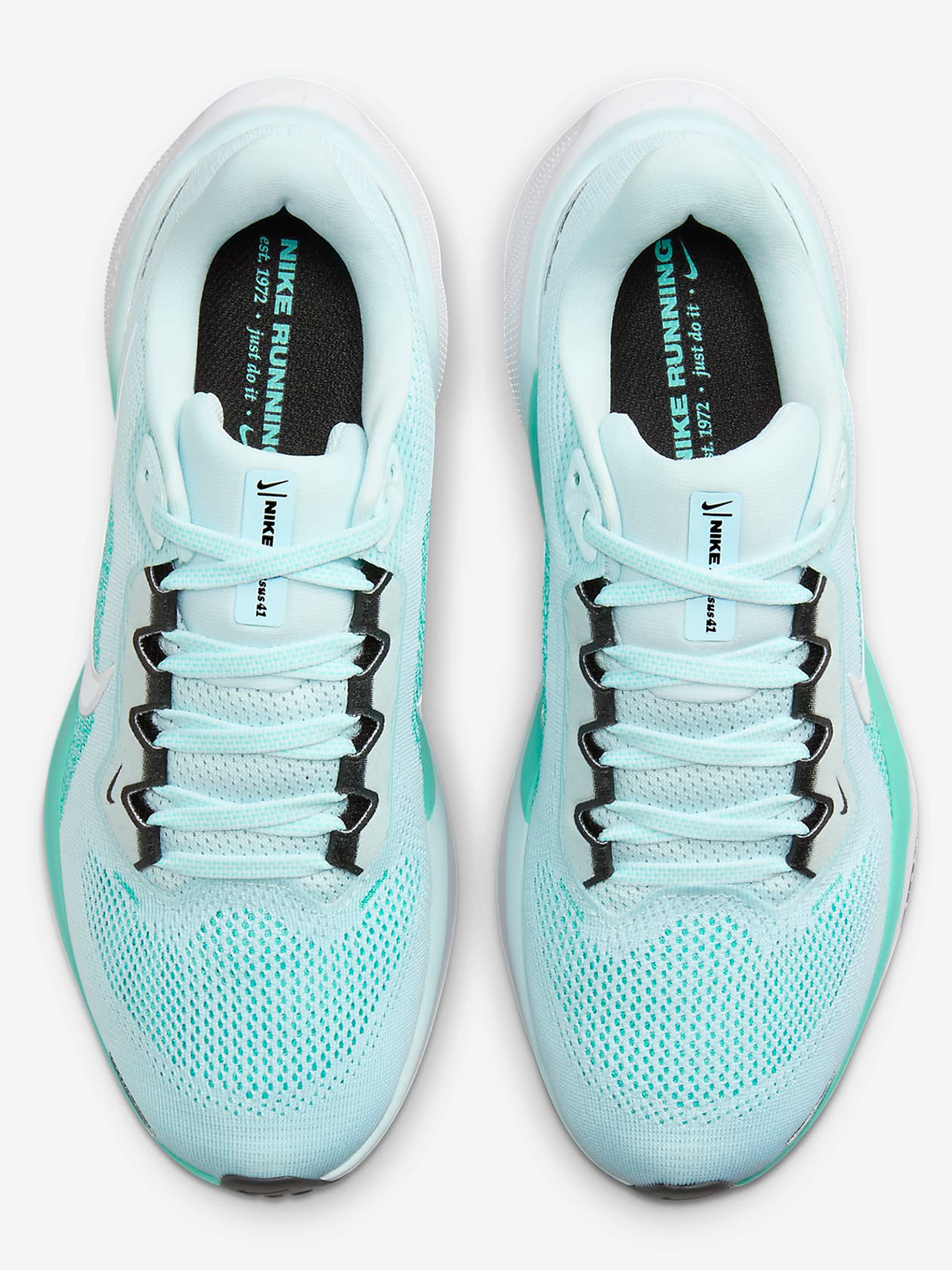 Pegasus 41