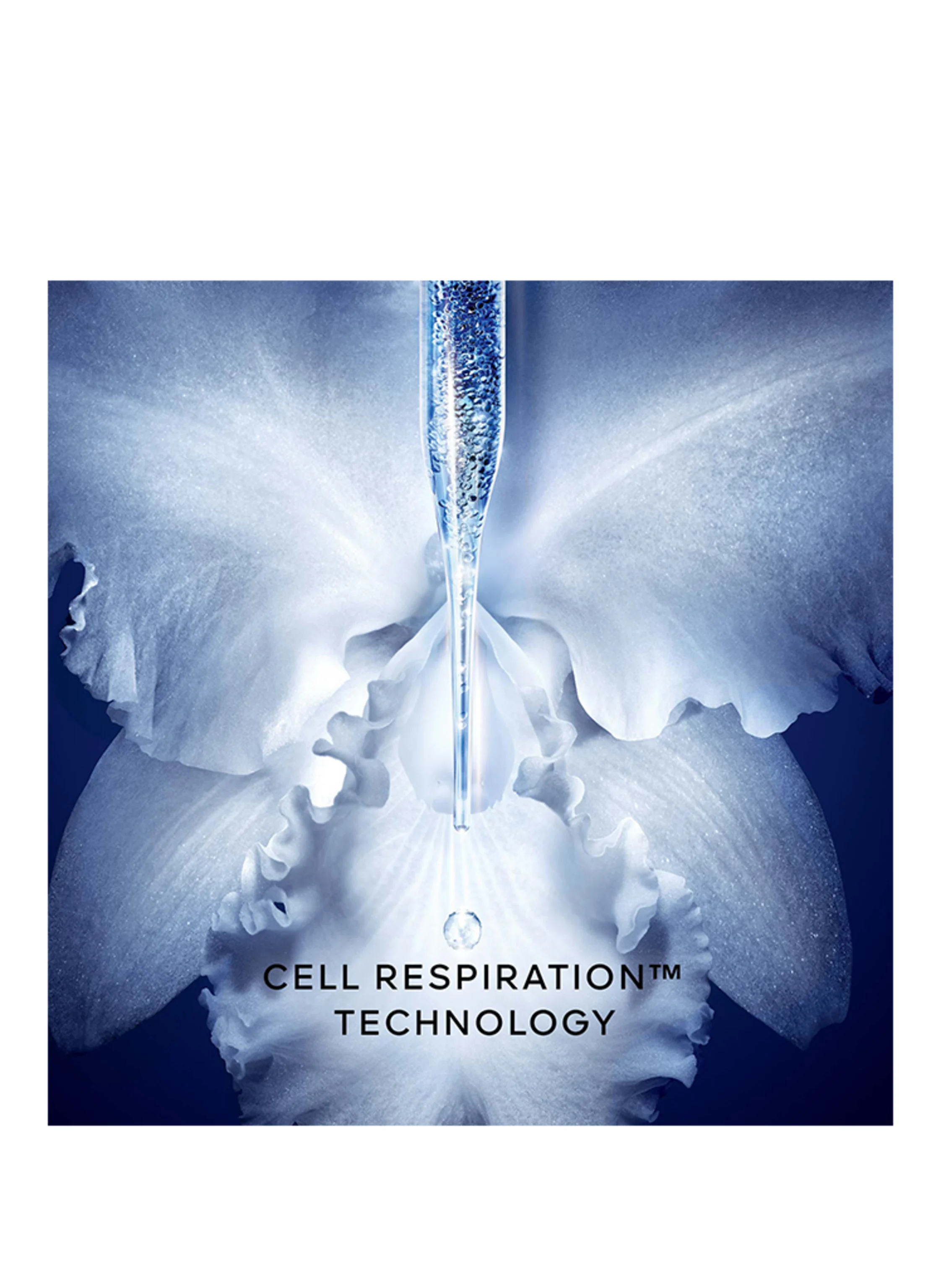 GUERLAIN ORCHIDÉE IMPÉRIALE