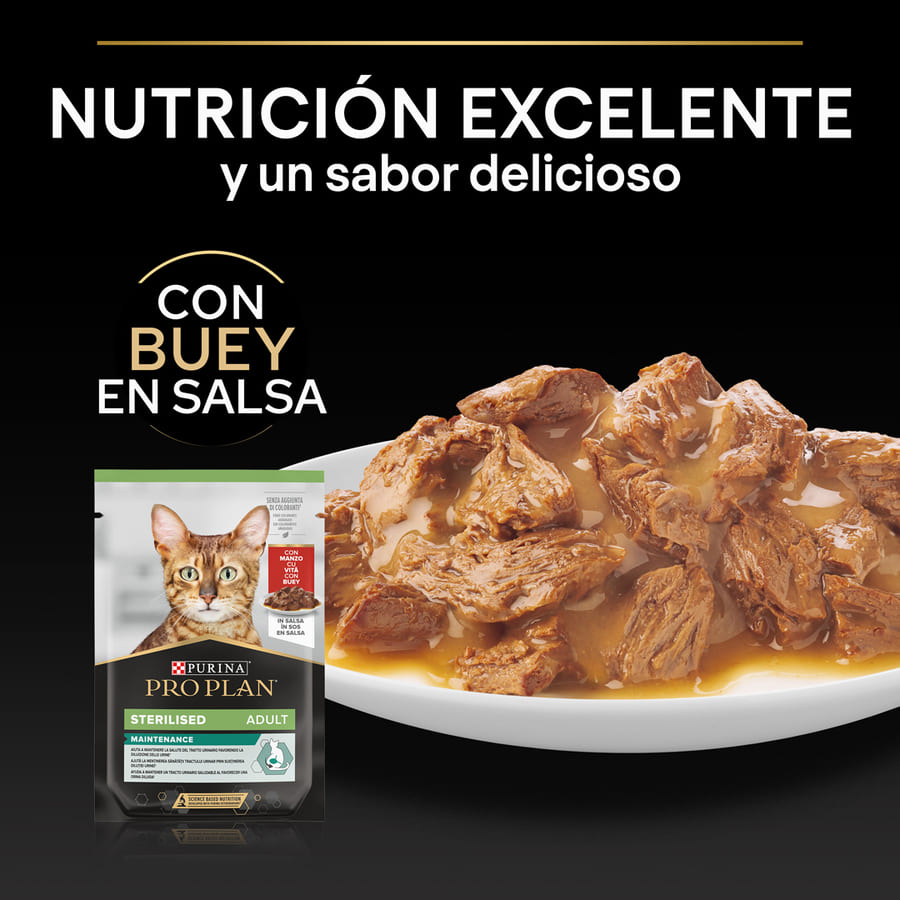 Sachê esterilizado Pro Plan para manutenção com carne ao molho para gatos.