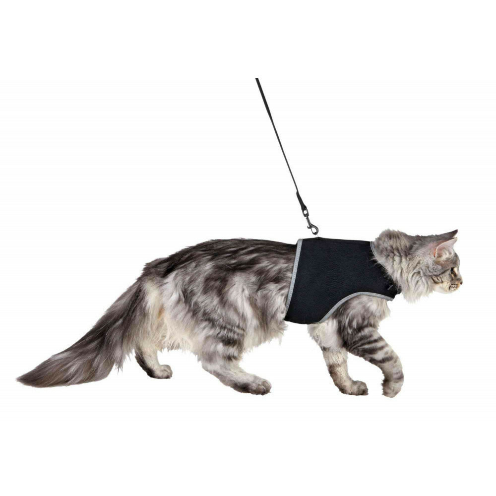 Harnais soft xxl avec laisse pour grand chat