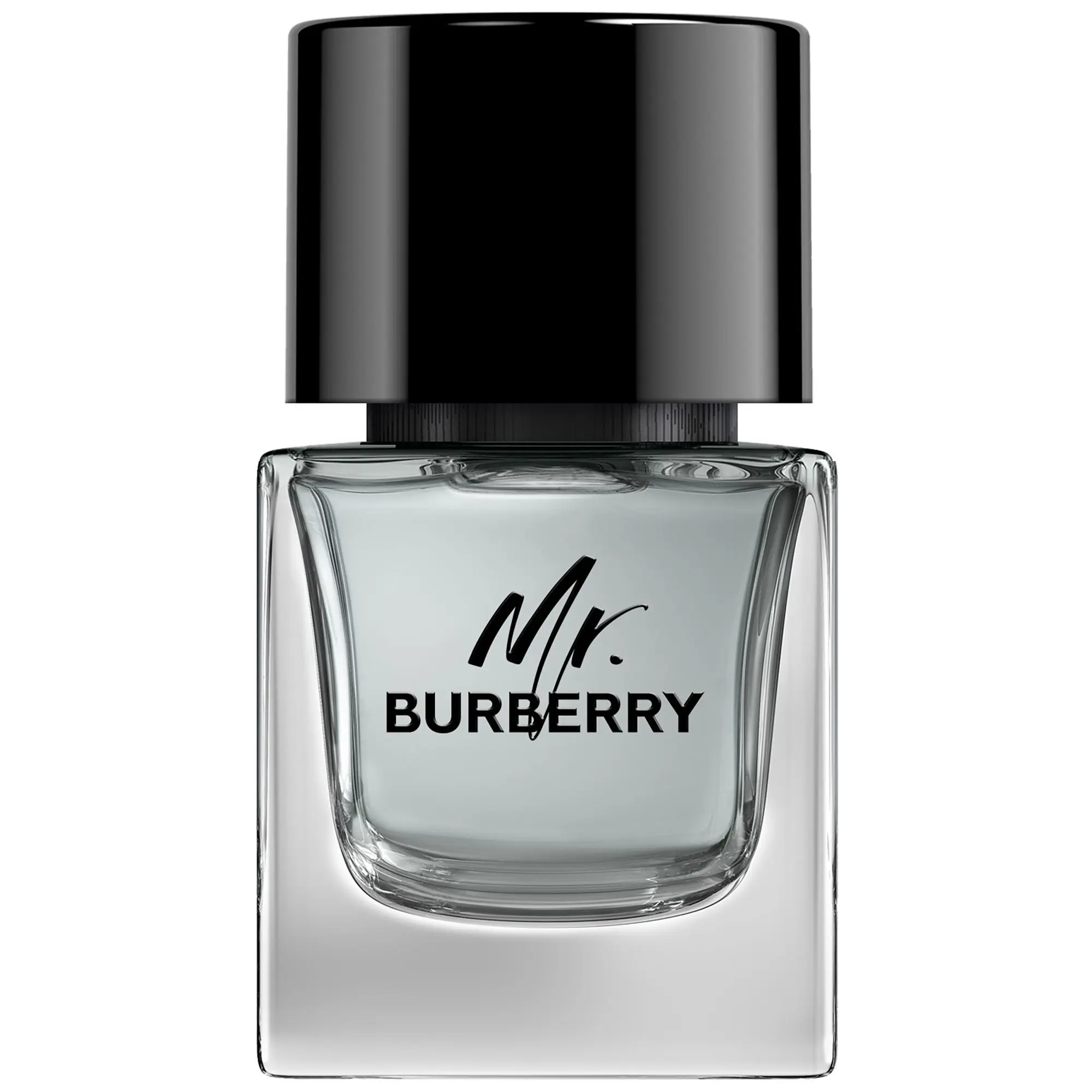 Burberry - Mr. Burberry Eau de Toilette- Eau de toilette