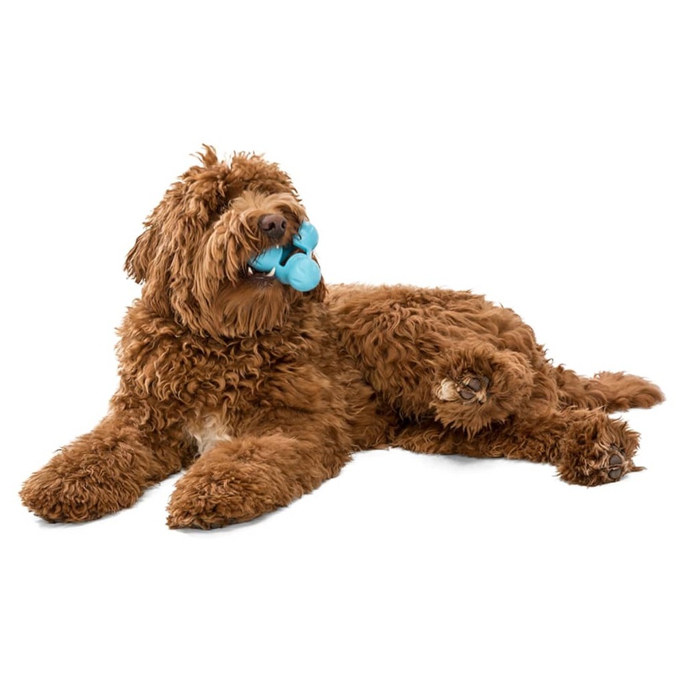 Jouet pour chiens avec zogoflex tux aqua bleu l